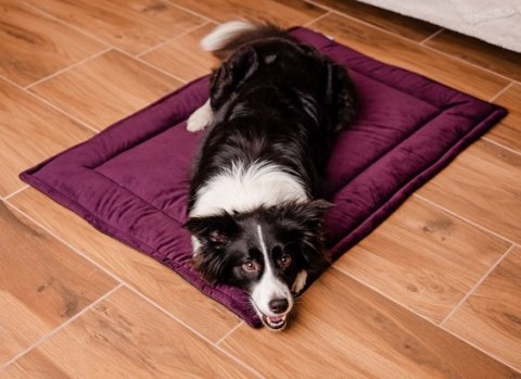 MIMIKO Pets MIMIKO Pets Mata Velvet 100x70cm śliwka MIMIKO Pets MIMIKO Pets Mata Velvet 100x70cm śliwka