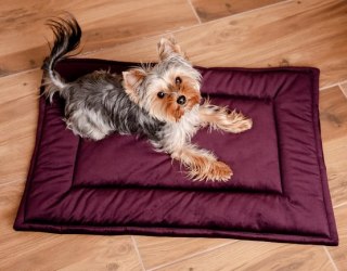 MIMIKO Pets MIMIKO Pets Mata Velvet 70x50cm śliwka