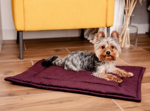 MIMIKO Pets MIMIKO Pets Mata Velvet 70x50cm śliwka MIMIKO Pets MIMIKO Pets Mata Velvet 70x50cm śliwka
