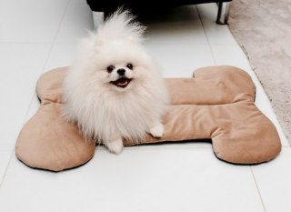 MIMIKO Pets MIMIKO Pets Mata Velvet Form Kość