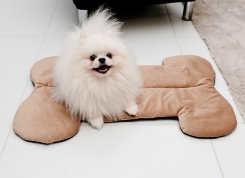MIMIKO Pets MIMIKO Pets Mata Velvet Form Kość