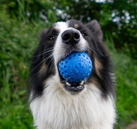 Kiwi Walker Kiwi Walker Let's Play Ball Maxi piłka niebieska