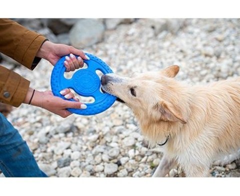 Kiwi Walker Kiwi Walker Let's Play Frisbee Mini niebieskie