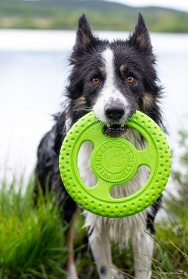 Kiwi Walker Kiwi Walker Let's Play Frisbee Mini różowe