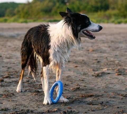 Kiwi Walker Kiwi Walker Let's Play Ring Mini niebieski