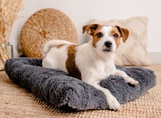 MIMIKO Pets MIMIKO Pets Legowisko Shaggy prostokątne L 65x45cm grafitowe