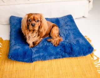 MIMIKO Pets MIMIKO Pets Legowisko Shaggy prostokątne XL 85x65cm chabrowe