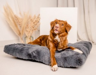 MIMIKO Pets MIMIKO Pets Legowisko Shaggy prostokątne XL 85x65cm grafitowe
