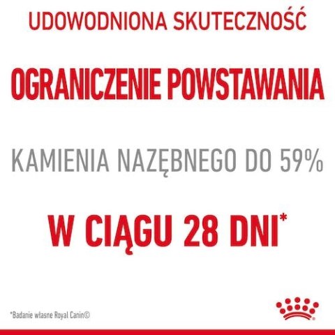 Royal Canin Feline Royal Canin Dental Care karma sucha dla kotów dorosłych, redukująca odkładanie kamienia nazębnego 8kg