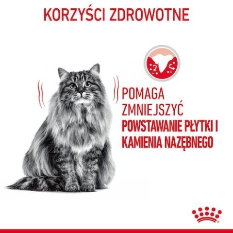 Royal Canin Feline Royal Canin Dental Care karma sucha dla kotów dorosłych, redukująca odkładanie kamienia nazębnego 8kg