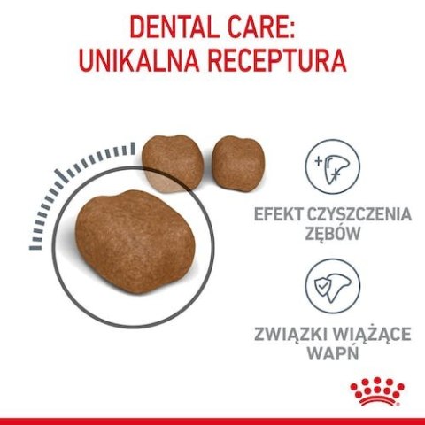 Royal Canin Feline Royal Canin Dental Care karma sucha dla kotów dorosłych, redukująca odkładanie kamienia nazębnego 8kg