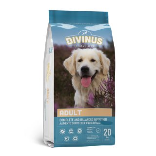 Divinus Divinus Adult dla psów dorosłych 20kg