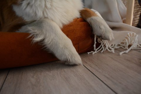Legowisko ortopedyczne dla psa - Cuddle Vivo (Burgund Vivo, L - 110x85 cm) Hectolove