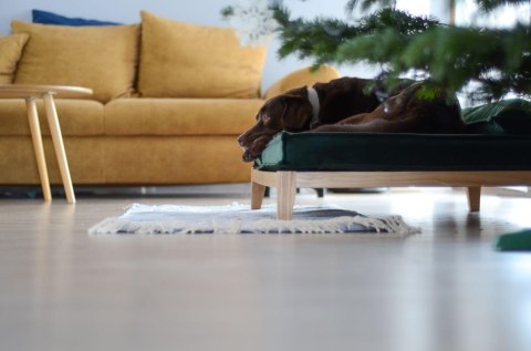 Legowisko ortopedyczne dla psa - Duo Tierra (Popielaty Tierra, XL - 120x90 cm) Hectolove