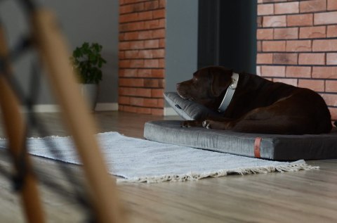 Materac ortopedyczny dla psa - Smart Ross (Popielaty Ross, L - 100x75 cm) Hectolove