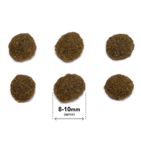 Arquivet ARQUIVET CAT Original dla kotów sterylizowanych łosoś z ryżem 1,5 kg Arquivet ARQUIVET CAT Original dla kotów sterylizowanych łosoś z ryżem 1,5 kg