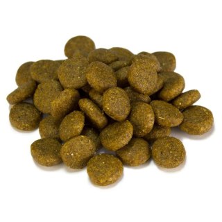 Arquivet Arquivet Adult jagnięcina z ryżem 3 kg