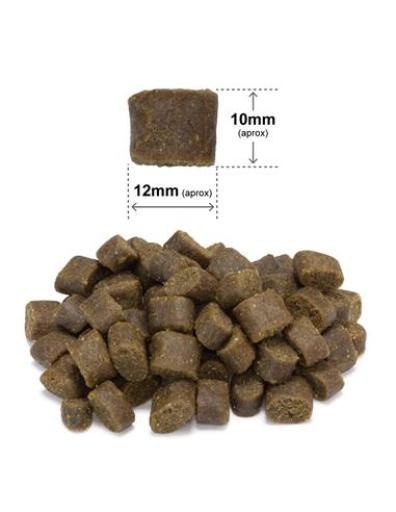 Arquivet Fresh ARQUIVET FRESH Półwilgotna karma dla psa ryba oceaniczna 2,5 kg Arquivet Fresh ARQUIVET FRESH Półwilgotna karma dla psa ryba oceaniczna 2,5 kg