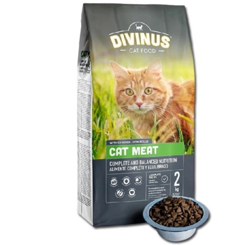 Divinus PRÓBKA Divinus Cat Meat 100g