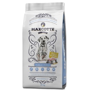 Golden Pet Food Maxcotte Cachorro dla szczeniaka 20kg