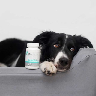 Medivet VET EXPERT KALMVET 60 KAPSUŁEK