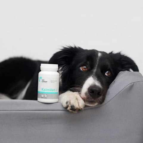 Medivet VET EXPERT KALMVET 60 KAPSUŁEK Medivet VET EXPERT KALMVET 60 KAPSUŁEK