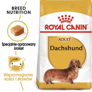 Royal Canin Breed Royal Canin Dachshund Adult karma sucha dla psów dorosłych rasy jamnik 1,5kg