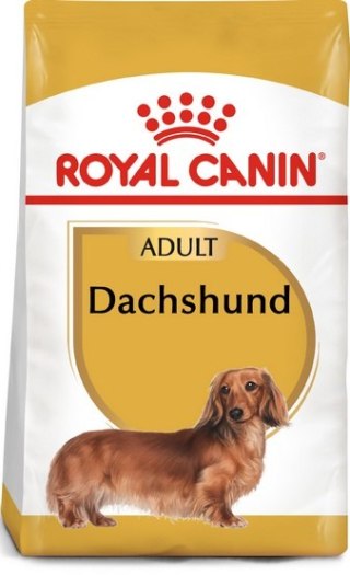 Royal Canin Breed Royal Canin Dachshund Adult karma sucha dla psów dorosłych rasy jamnik 1,5kg