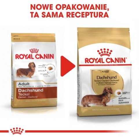 Royal Canin Breed Royal Canin Dachshund Adult karma sucha dla psów dorosłych rasy jamnik 1,5kg