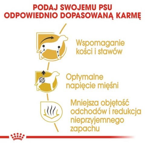 Royal Canin Breed Royal Canin Dachshund Adult karma sucha dla psów dorosłych rasy jamnik 1,5kg