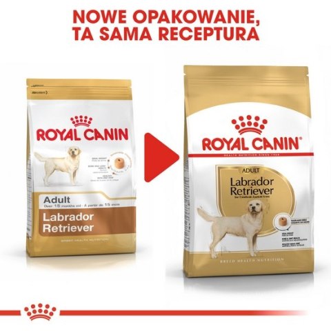 Royal Canin Breed Royal Canin Labrador Retriever Adult karma sucha dla psów dorosłych rasy labrador retriever 12kg