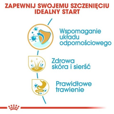 Royal Canin Breed Royal Canin Shih Tzu Puppy karma sucha dla szczeniąt do 10 miesiąca, rasy shih tzu 1,5kg Royal Canin Breed Royal Canin Shih Tzu Puppy karma sucha dla szczeniąt do 10 miesiąca, rasy shih tzu 1,5kg