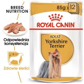 Royal Canin Breed Royal Canin Yorkshire Terrier Adult karma mokra - pasztet, dla psów dorosłych rasy yorkshire terrier saszetka 