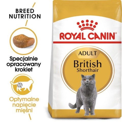 Royal Canin Feline Royal Canin British Shorthair Adult karma sucha dla kotów dorosłych rasy brytyjski krótkowłosy 2kg