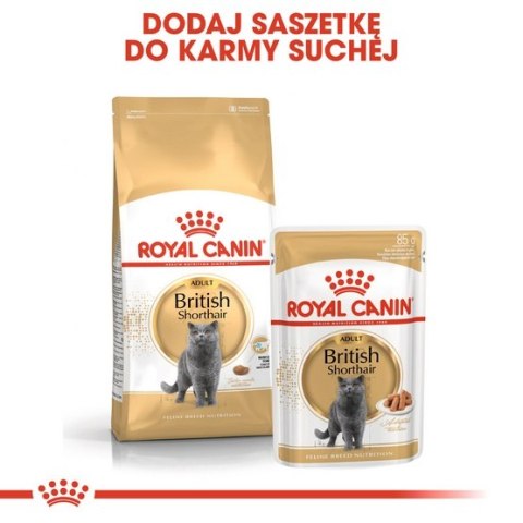 Royal Canin Feline Royal Canin British Shorthair Adult karma sucha dla kotów dorosłych rasy brytyjski krótkowłosy 2kg