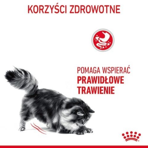 Royal Canin Feline Royal Canin Digestive Care karma sucha dla kotów dorosłych, wspomagająca przebieg trawienia 2kg