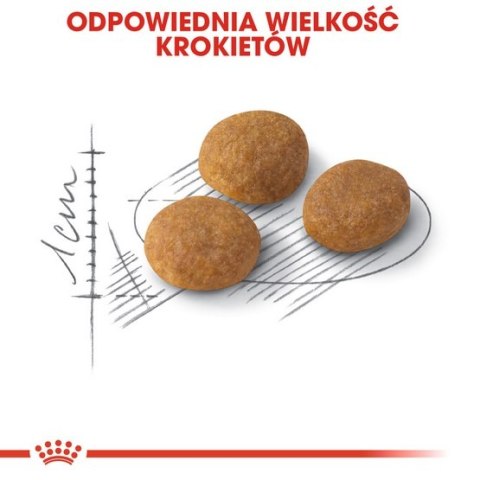 Royal Canin Feline Royal Canin Exigent Aromatic Attraction karma sucha dla kotów dorosłych, wybrednych, kierujących się zapachem