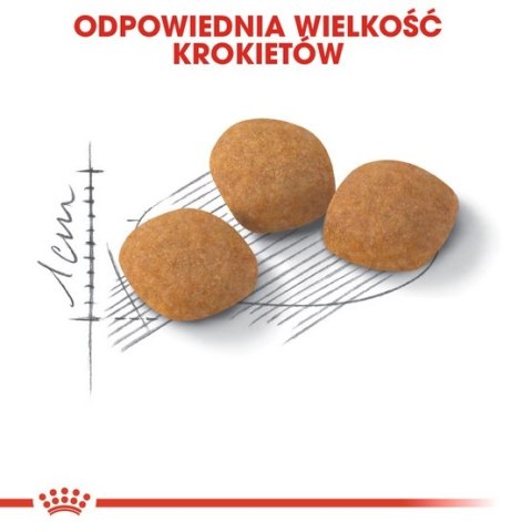 Royal Canin Feline Royal Canin Exigent Protein Preference karma sucha dla kotów dorosłych, wybrednych, kierujących się białkiem 