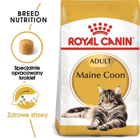 Royal Canin Feline Royal Canin Maine Coon Adult karma sucha dla kotów dorosłych rasy maine coon 400g