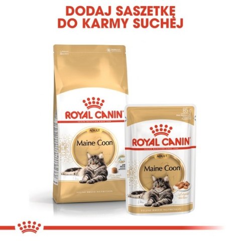 Royal Canin Feline Royal Canin Maine Coon Adult karma sucha dla kotów dorosłych rasy maine coon 400g