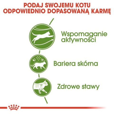Royal Canin Feline Royal Canin Outdoor karma sucha dla kotów dorosłych, wychodzących na zewnątrz 2kg Royal Canin Feline Royal Canin Outdoor karma sucha dla kotów dorosłych, wychodzących na zewnątrz 2kg