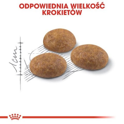 Royal Canin Feline Royal Canin Outdoor karma sucha dla kotów dorosłych, wychodzących na zewnątrz 2kg Royal Canin Feline Royal Canin Outdoor karma sucha dla kotów dorosłych, wychodzących na zewnątrz 2kg