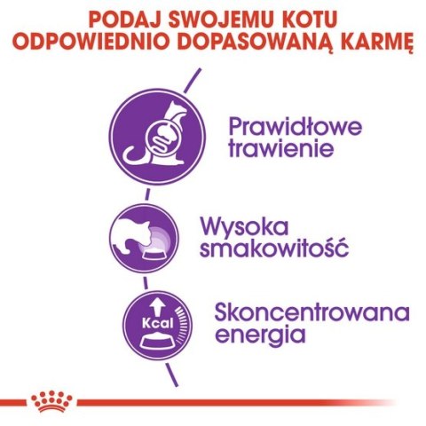 Royal Canin Feline Royal Canin Sensible karma sucha dla kotów dorosłych, o wrażliwym przewodzie pokarmowym 2kg