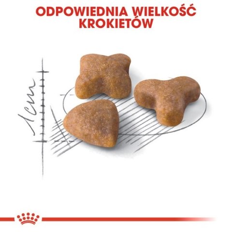 Royal Canin Feline Royal Canin Sensible karma sucha dla kotów dorosłych, o wrażliwym przewodzie pokarmowym 2kg