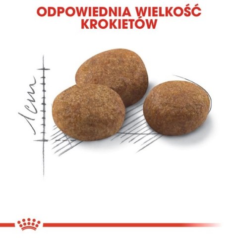 Royal Canin Feline Royal Canin Sterilised 7+ karma sucha dla kotów dorosłych, od 7 do 12 roku życia, sterylizowanych 1,5kg