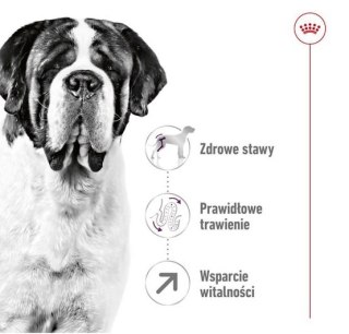 Royal Canin Size Royal Canin Giant Adult karma sucha dla psów dorosłych, od 18/24 miesiąca życia, ras olbrzymich 15kg