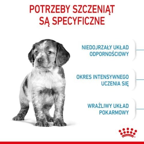 Royal Canin Size Royal Canin Medium Puppy karma sucha dla szczeniąt, od 2 do 12 miesiąca, ras średnich 15kg