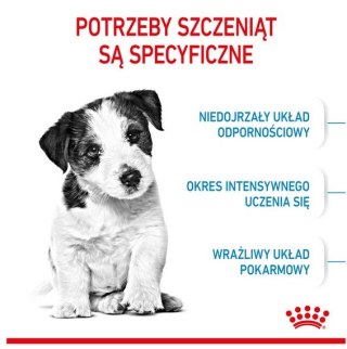 Royal Canin Size Royal Canin Mini Puppy karma sucha dla szczeniąt, od 2 do 10 miesiąca życia, ras małych 8kg