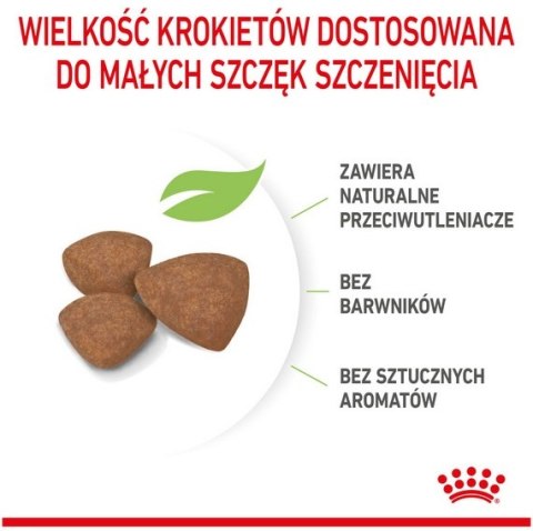 Royal Canin Size Royal Canin Mini Puppy karma sucha dla szczeniąt, od 2 do 10 miesiąca życia, ras małych 8kg