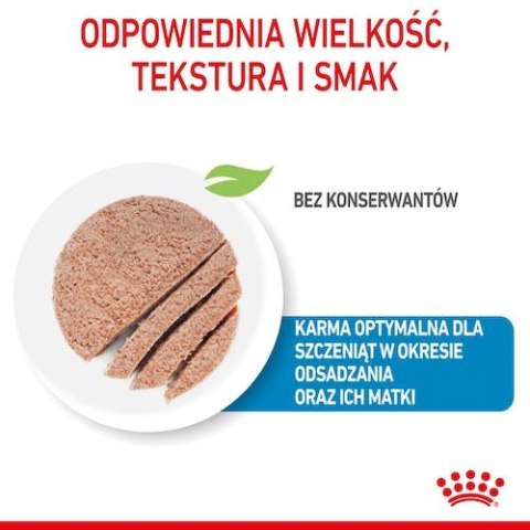 Royal Canin Size Royal Canin Starter Mother&Babydog karma mokra - mus, dla suk w czasie ciąży, laktacji oraz szczeniąt puszka 19